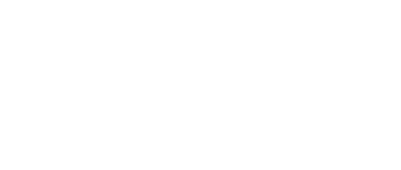 THE ONE